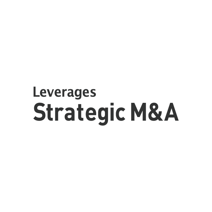 Leverages M&A Advisory Co., Ltd. ロゴ